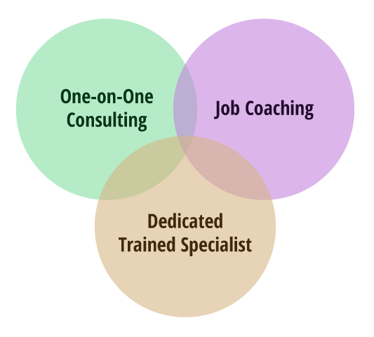 One on one consulting + job coaching + dedicated training specialist